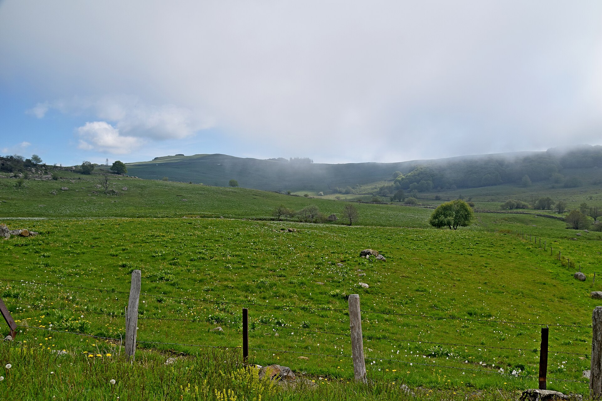 Plateau de l’Aubrac