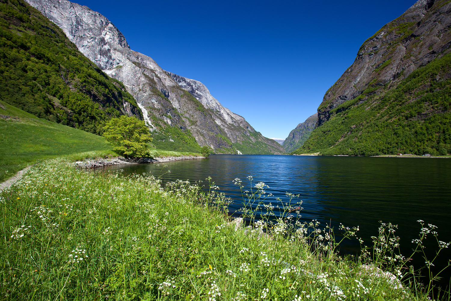 Nærøyfjord in Fjordnorwegen