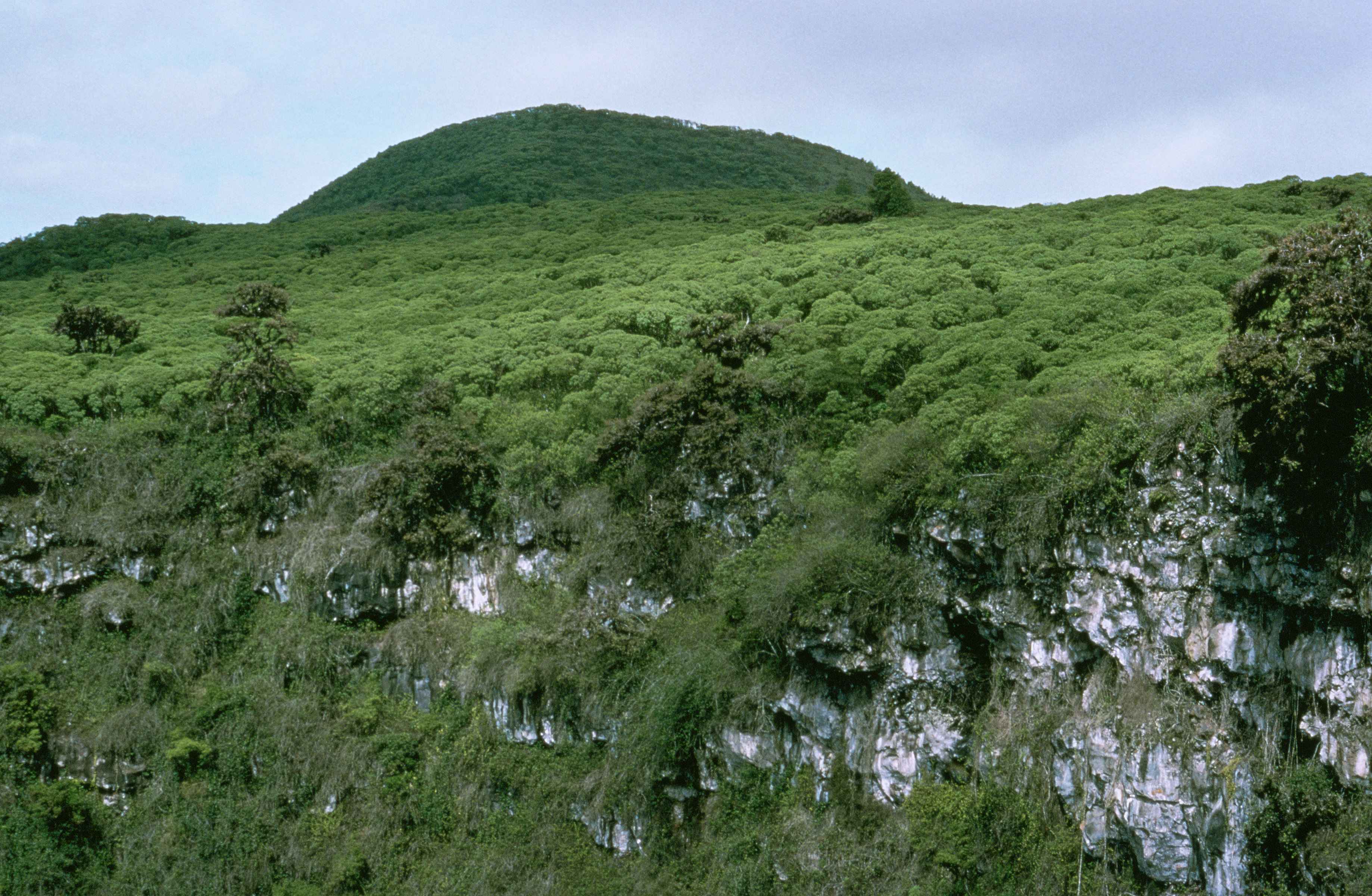Galapagos landscape