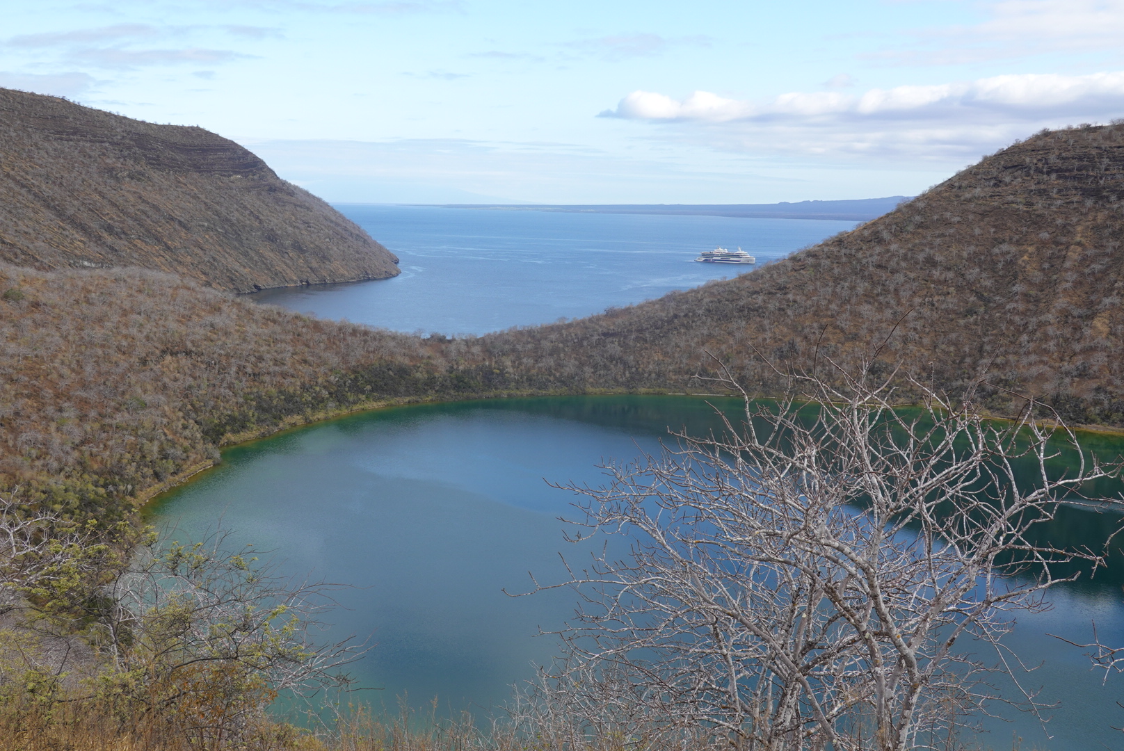 Galapagos