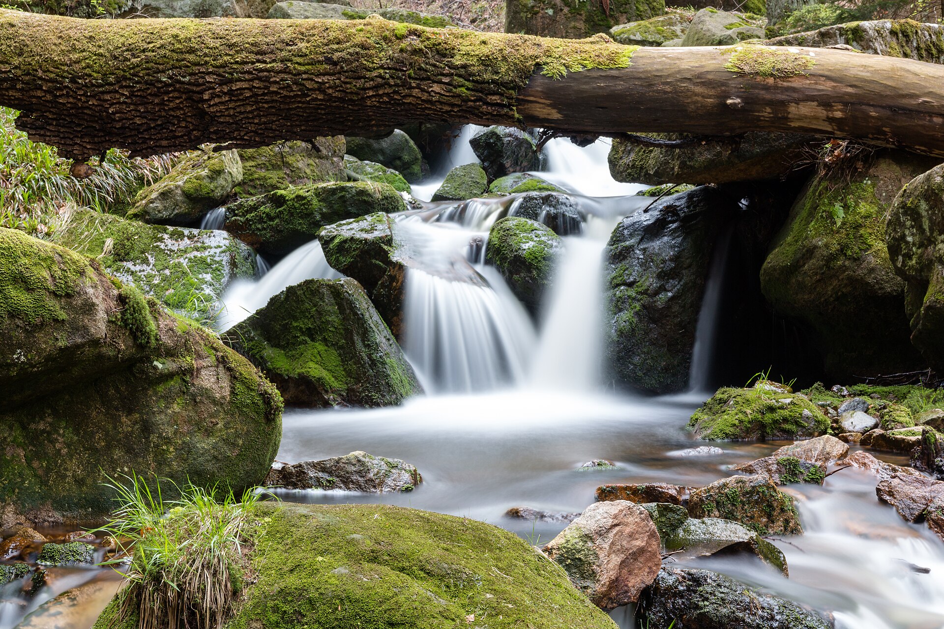 Ilsefälle im Ilsetal des Nationalparks Harz