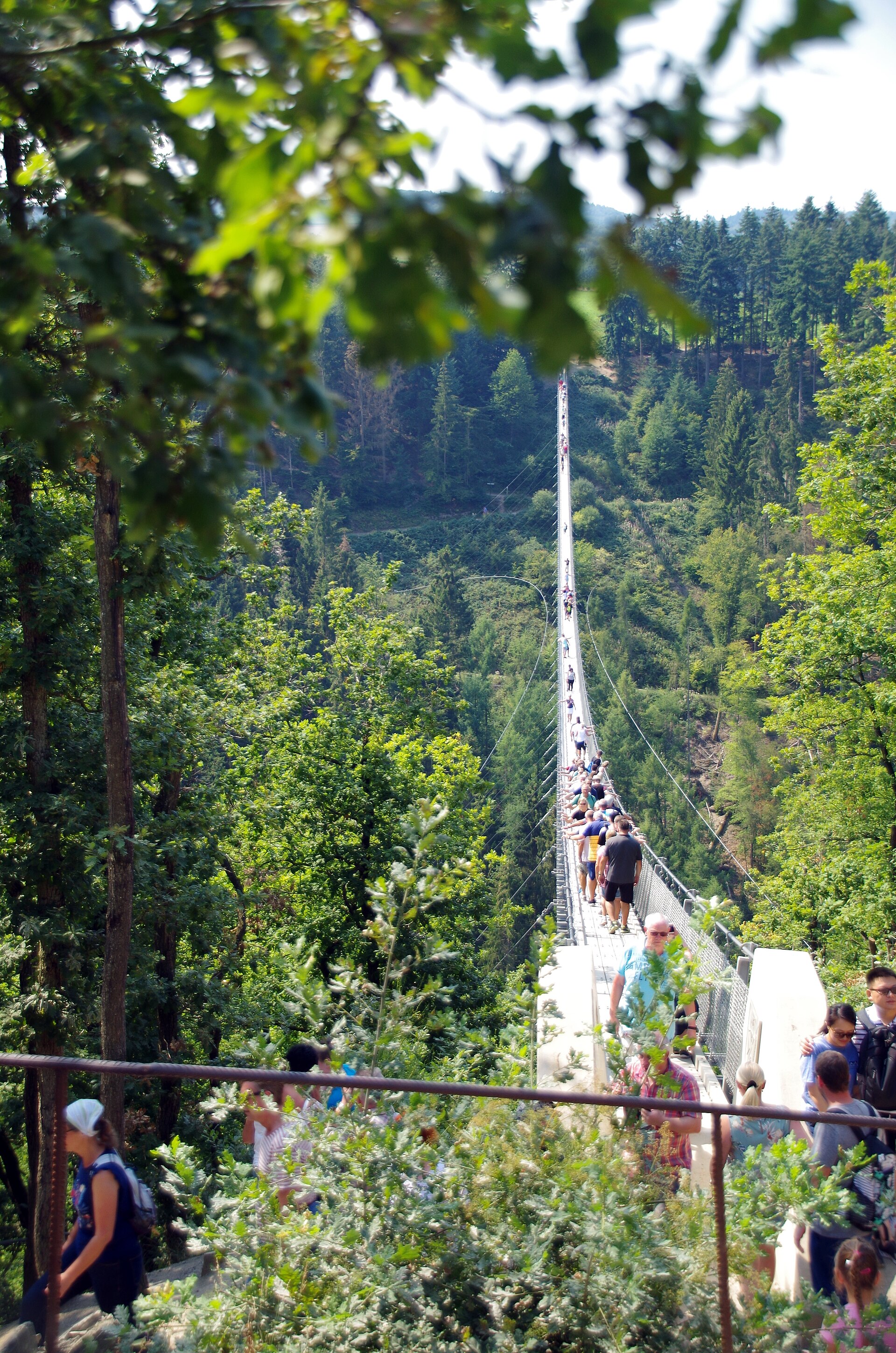Landscape and natural scenery in the Hunsrück: long-distance trails, woodland valleys and suspension bridges
