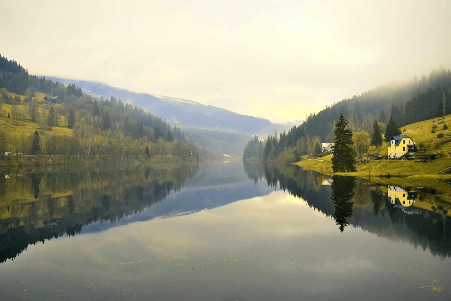 Forest and water in the Bohemian Forest