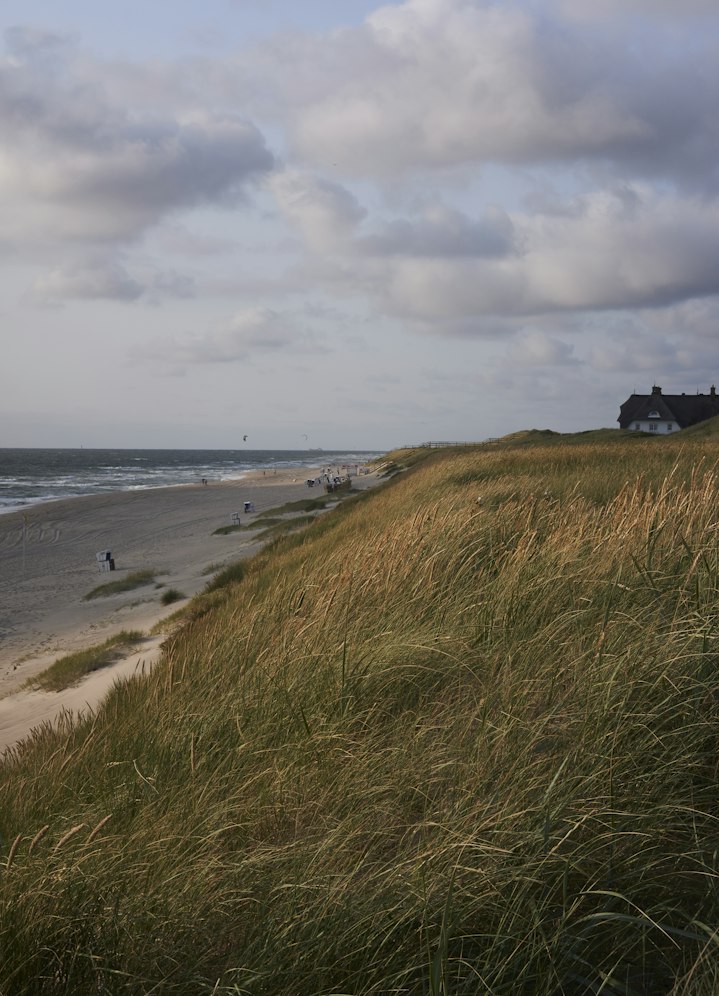 Deich und Meer an der Nordsee