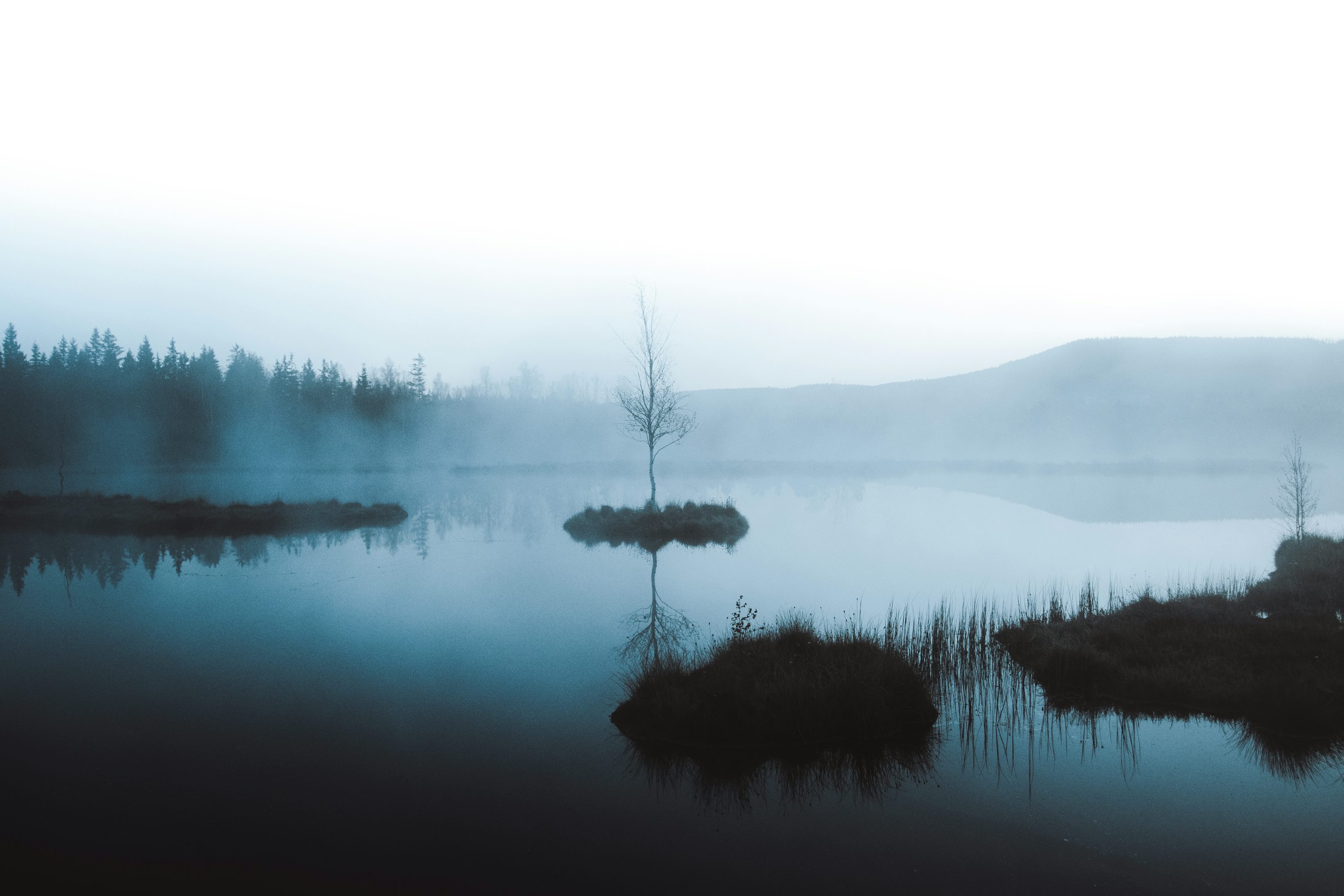 Forest lake in the Czech Bohemian Forest