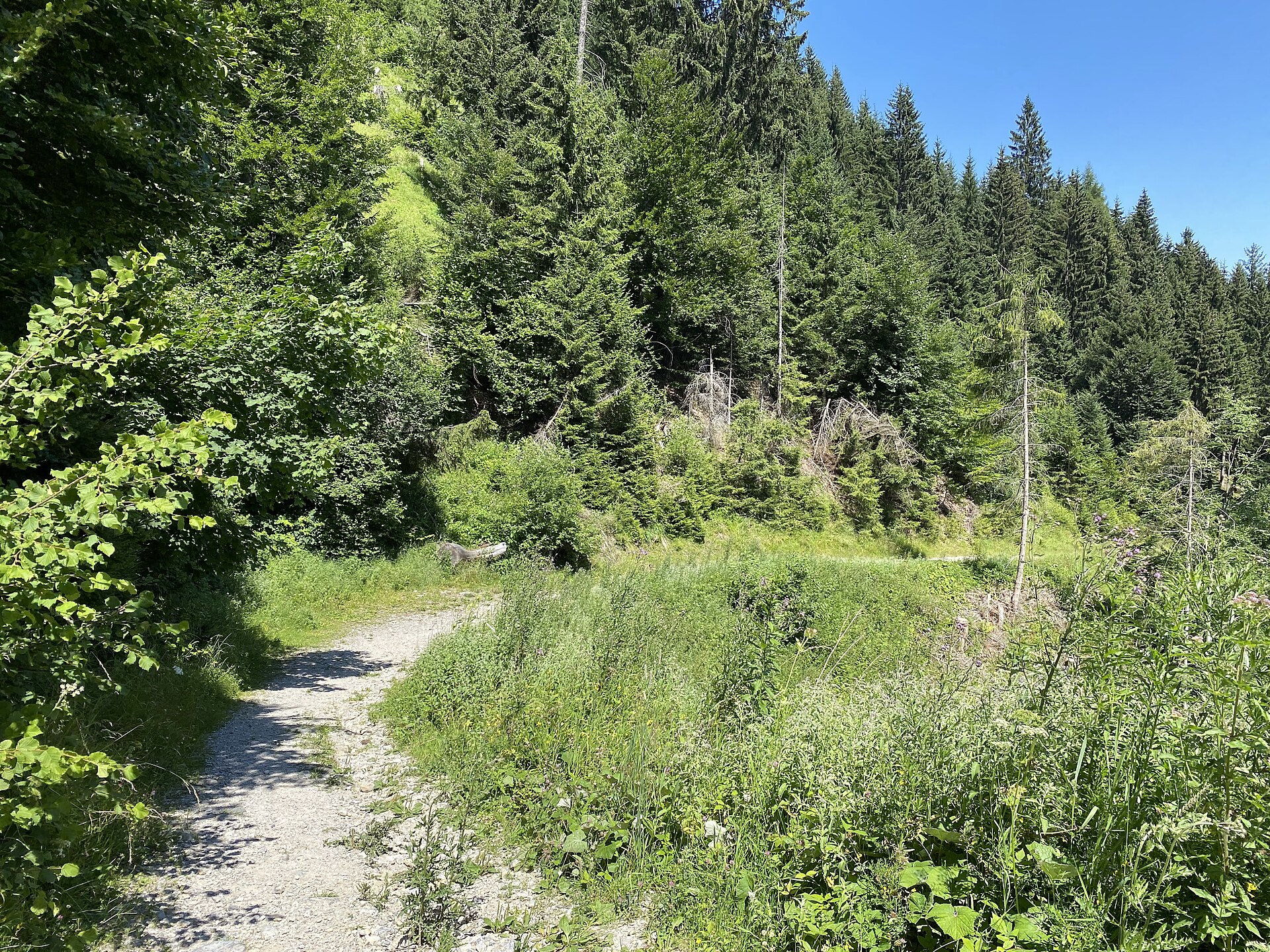 Blick in der Nordkette