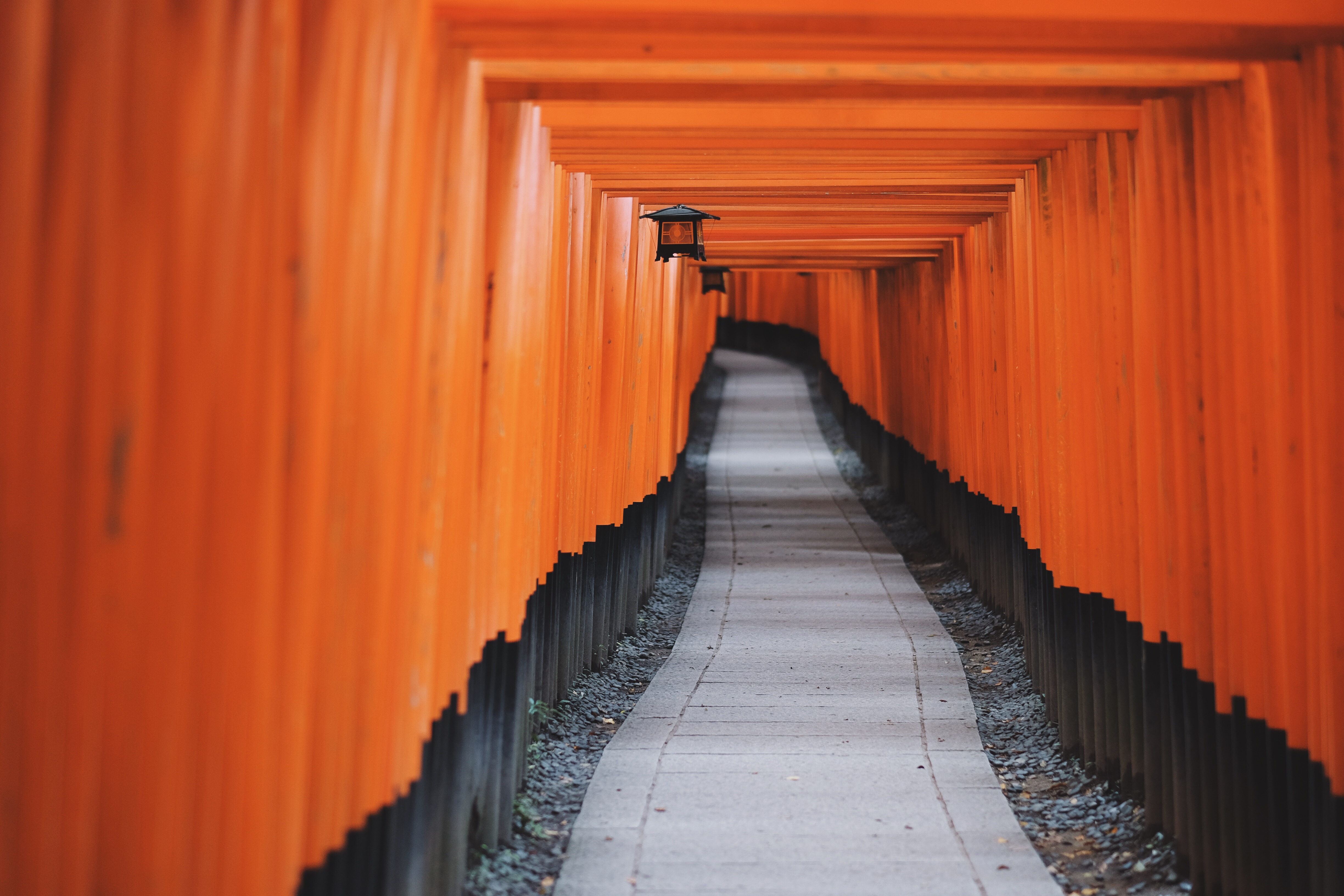 Torii-Gang am Fushimi Inari Taisha in Kyoto