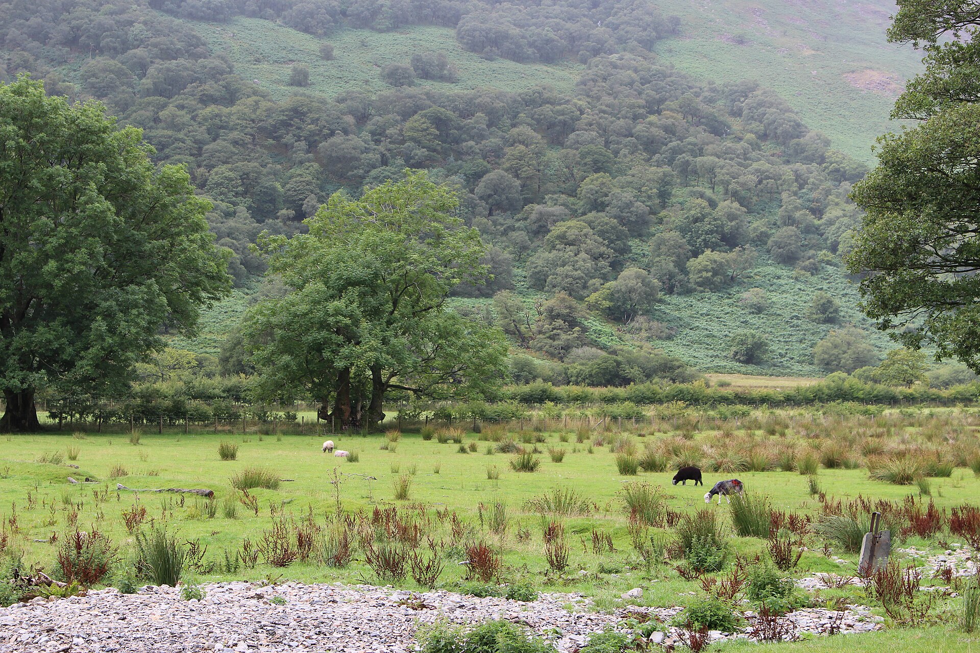 Buttermere in the Lake District