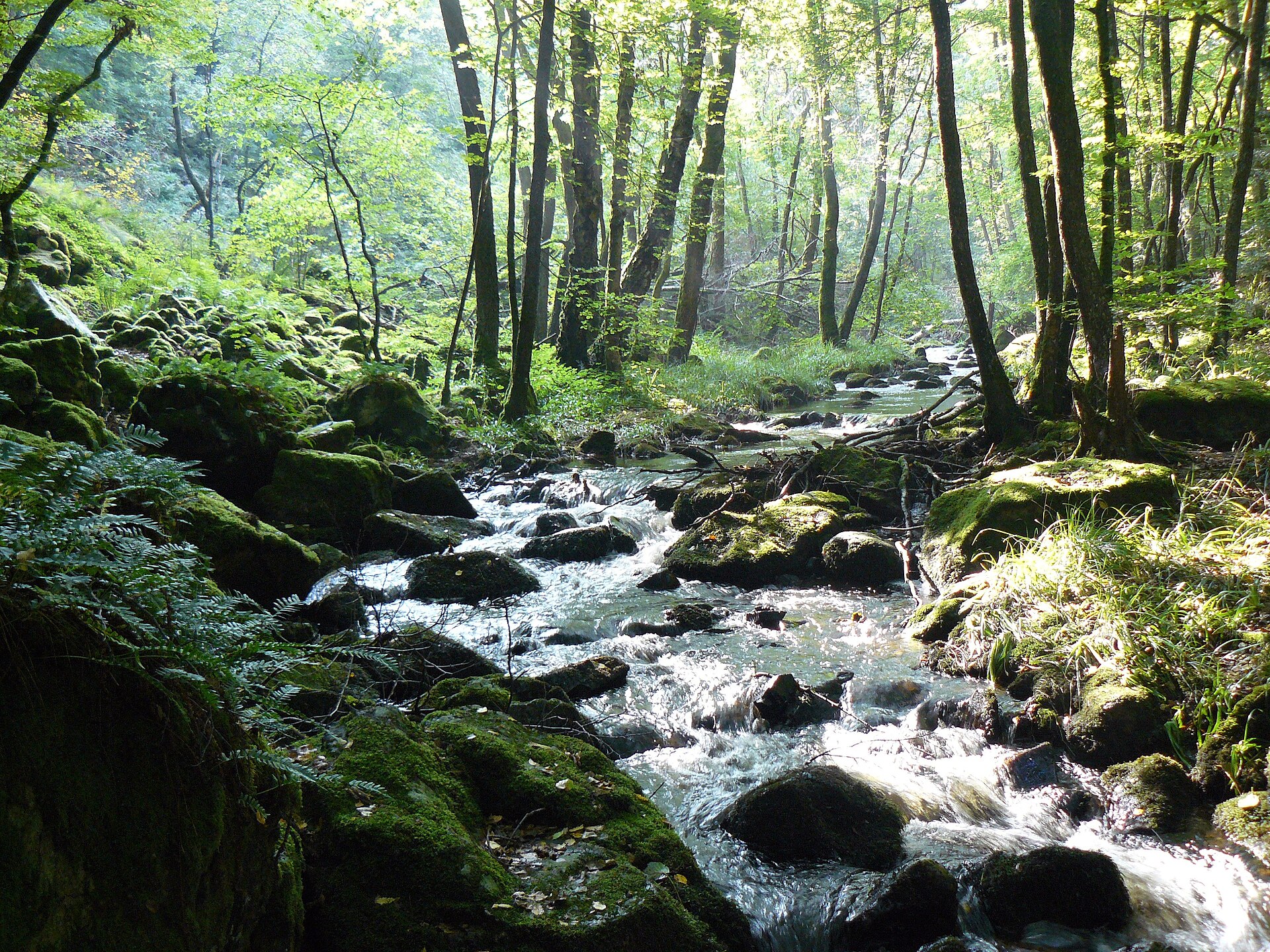 Gorges de la Canche