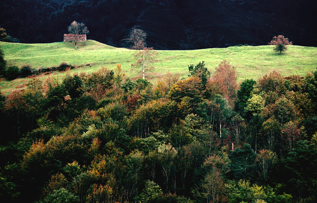 Berglandschaft in Liébana