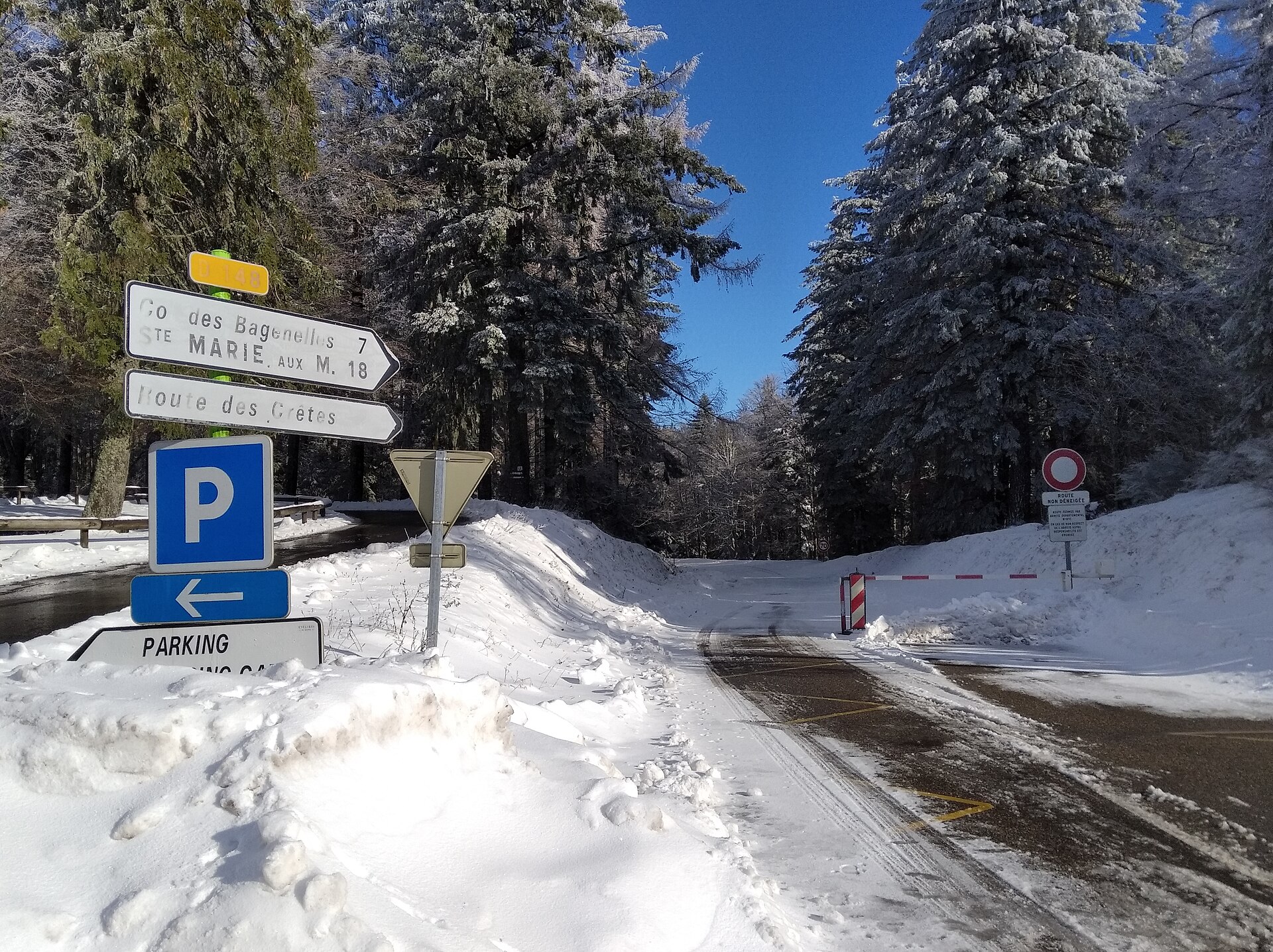 Route des Crêtes ridge road in the Vosges